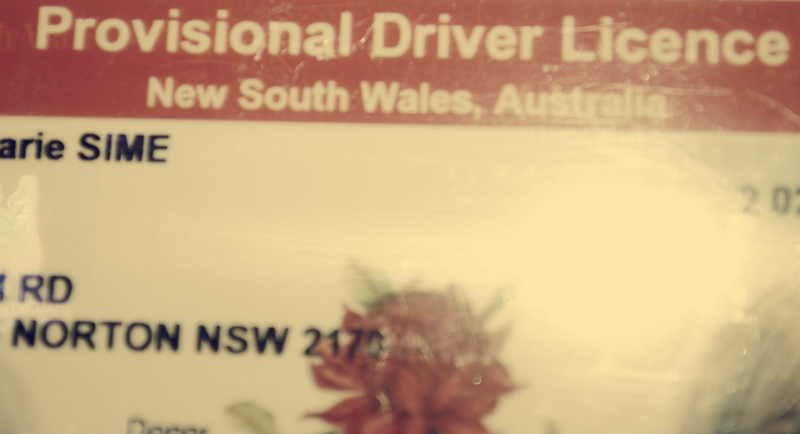nsw drivers licence check